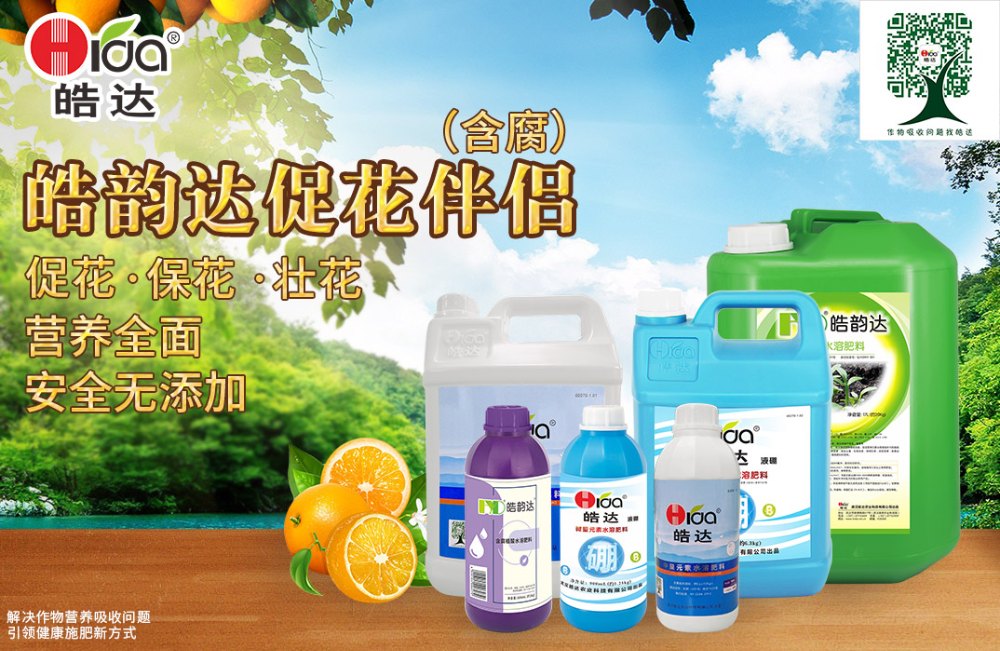 促花伴侶（含腐）