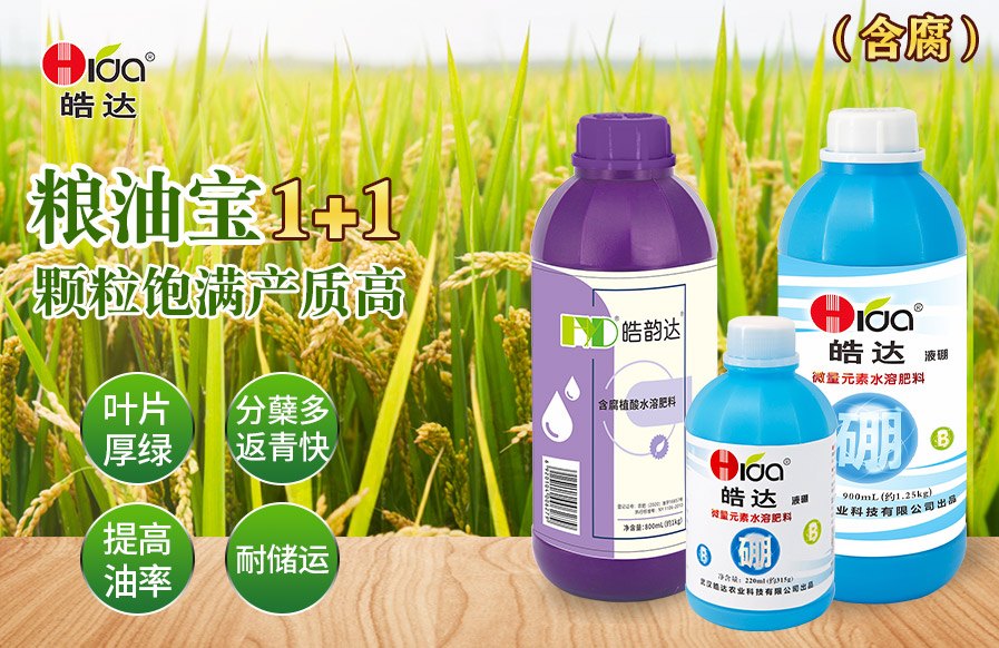 糧油寶1+1（含腐）